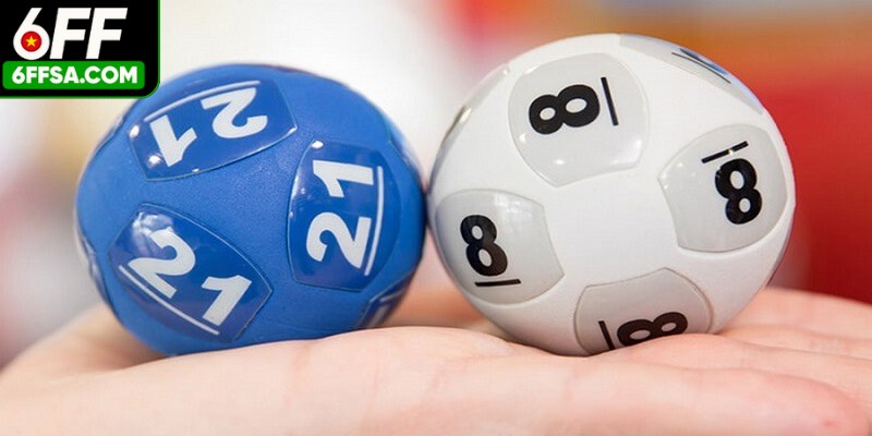 Tham khảo ý kiến chuyên gia và cộng đồng trước khi xuống tiền đầu tư